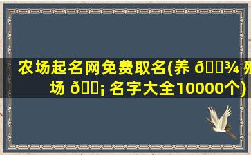 农场起名网免费取名(养 🌾 殖场 🐡 名字大全10000个)